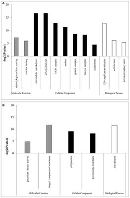 Sexual Transcription Differences in Brachymeria lasus (Hymenoptera: Chalcididae), a Pupal Parasitoid Species of Lymantria dispar (Lepidoptera: Lymantriidae)